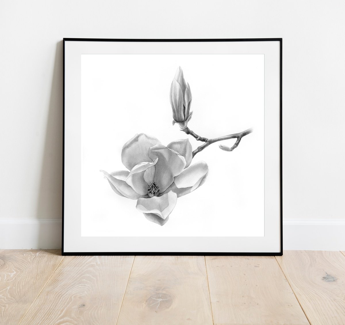 Graphic Botanical Ink Drawing By Svitlana Lagutina, 14 X 14", Magnolia Flower And Bud On Tree, Botanical Illustration, Artfinder