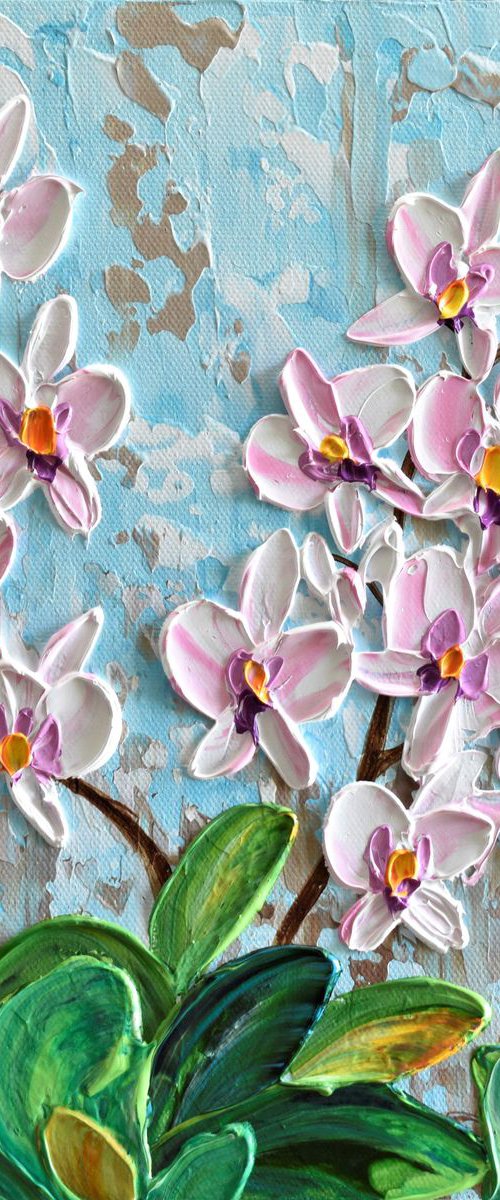 Blooming orchid by Olga Tkachyk