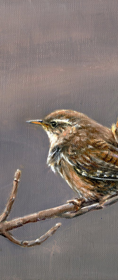 Wren by Una Hurst