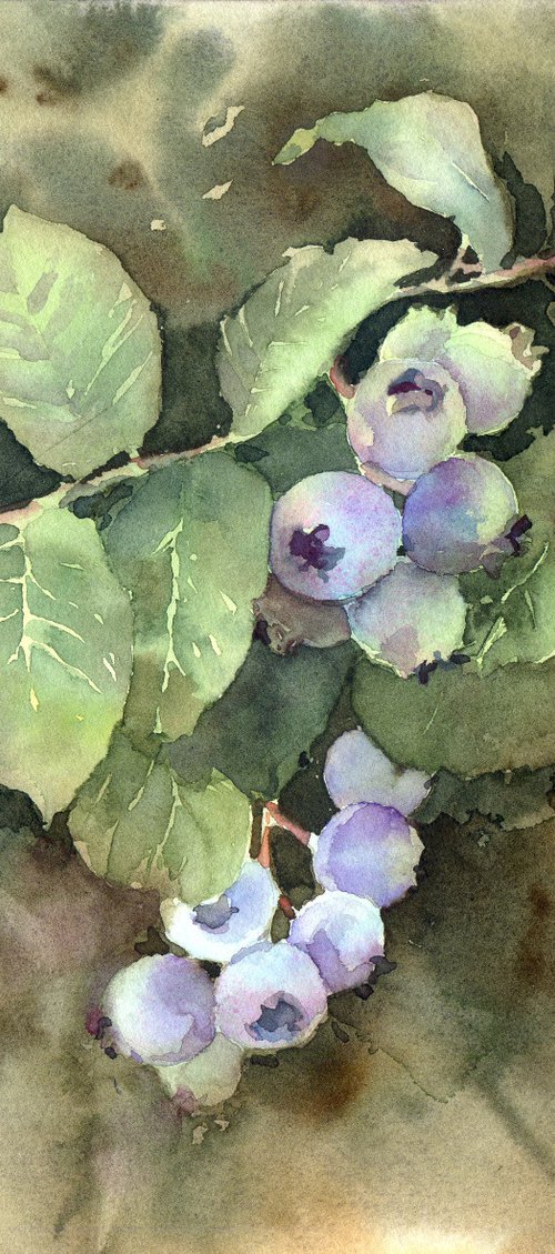 Blueberries ripen, Surprise in mom's garden, Small watercolor painting by Yulia Evsyukova