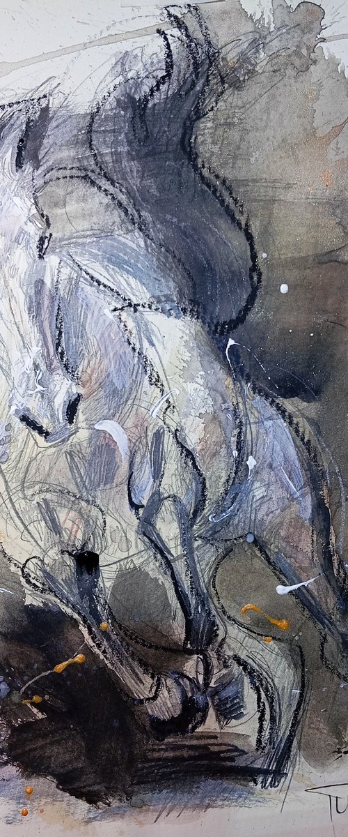 Galloping horse by Catalin Ilinca