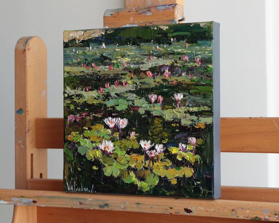 Blooming Water Lilies