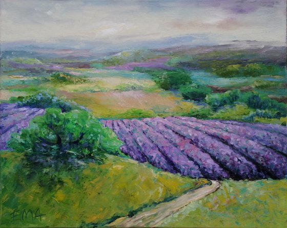 LAVENDER VALLEY #2