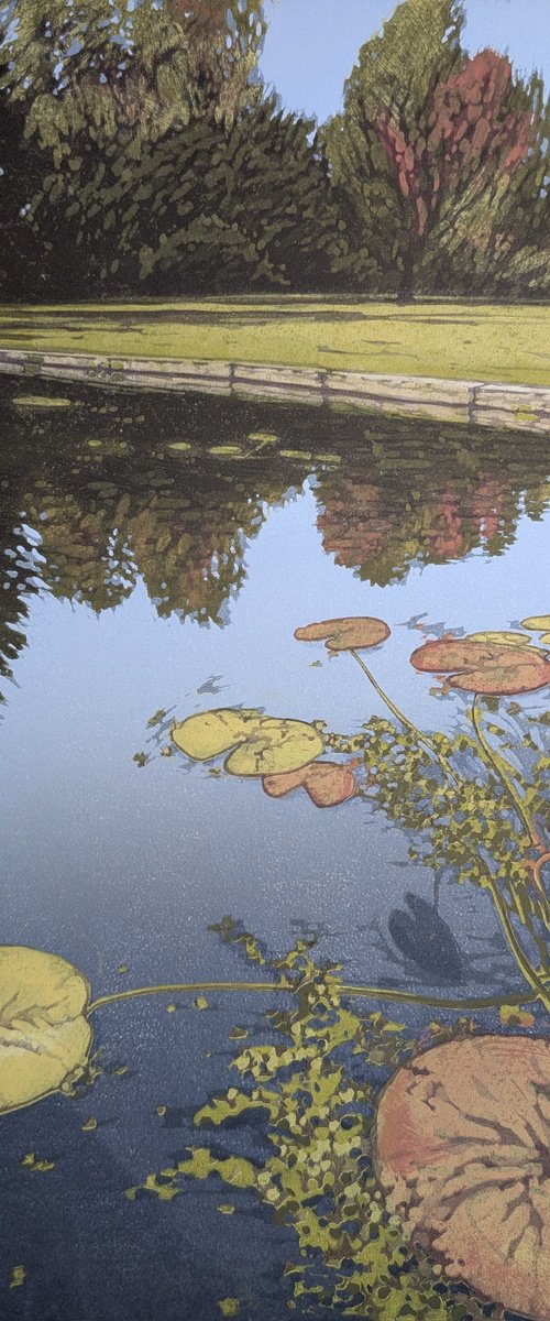 Autumn Lily Pond by Alexandra Buckle