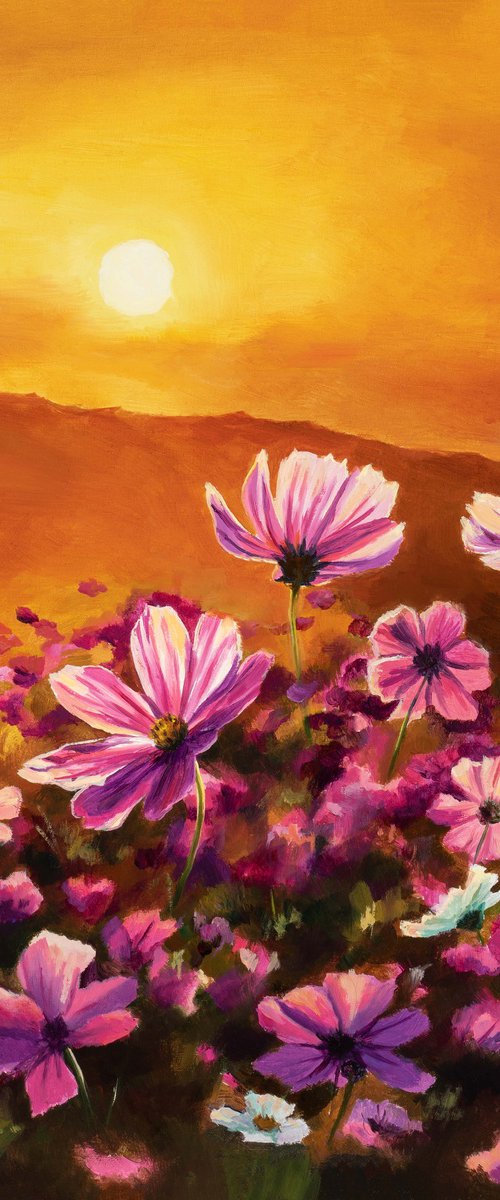 Pink cosmos field at sunset by Lucia Verdejo