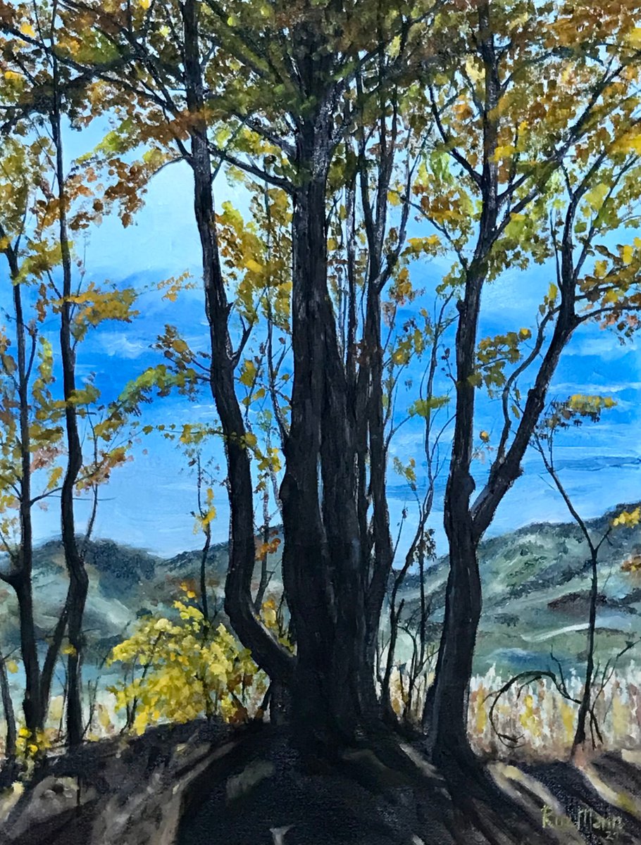Autumn In Montenegro by Marina Deryagina