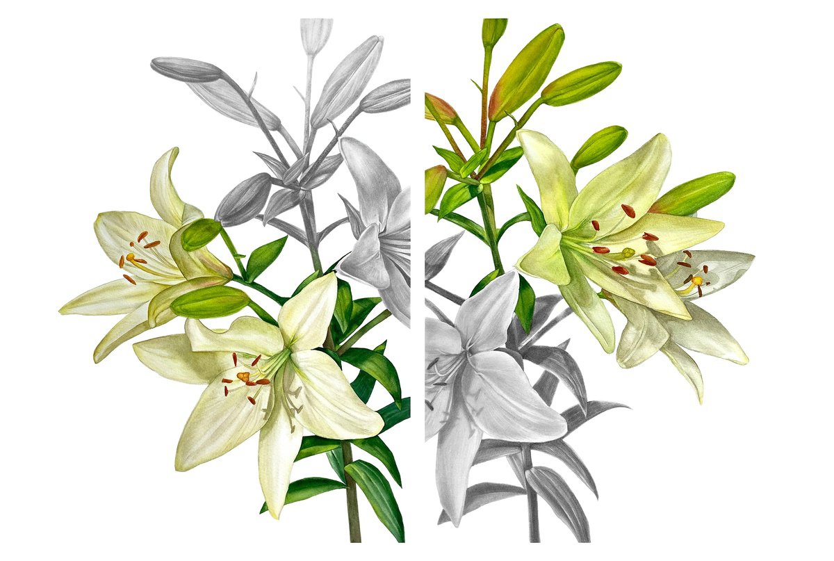 Photorealistic Botanical Painting By Anna Lyashenko, 13 X 17, Diptych `The Edge`, Original Artwork