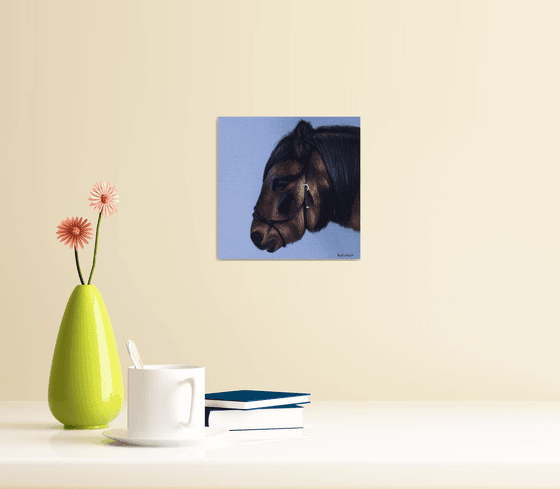 Horse Portrait 46