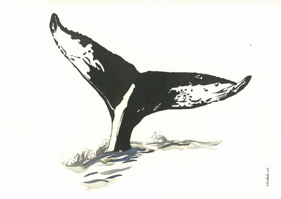 Whale I Animal Drawing