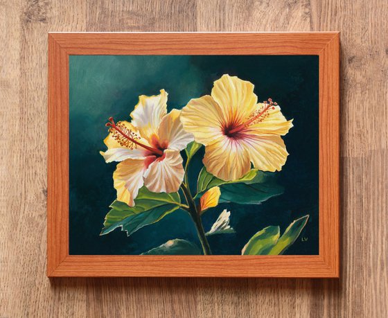 Two yellow hibiscus flowers
