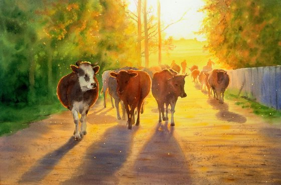 Cows returning from the pasture in evening sun - Herd of cows - Cow painting - rural life