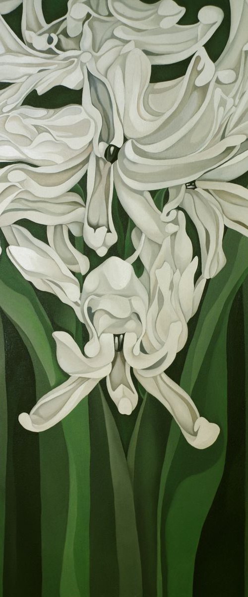 Deco Hyacinth by Jo Beer