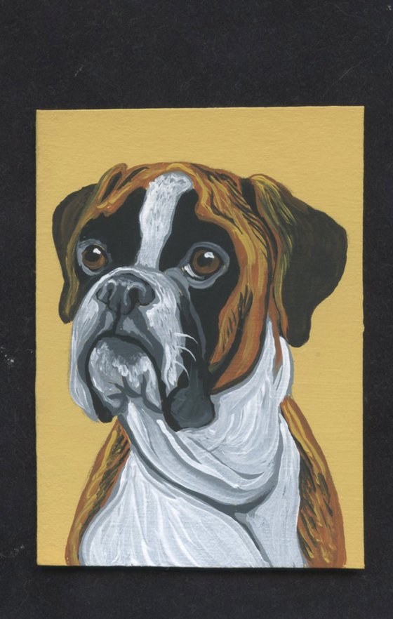 ACEO ATC Original Miniature Painting Boxer Pet Dog Art-Carla Smale