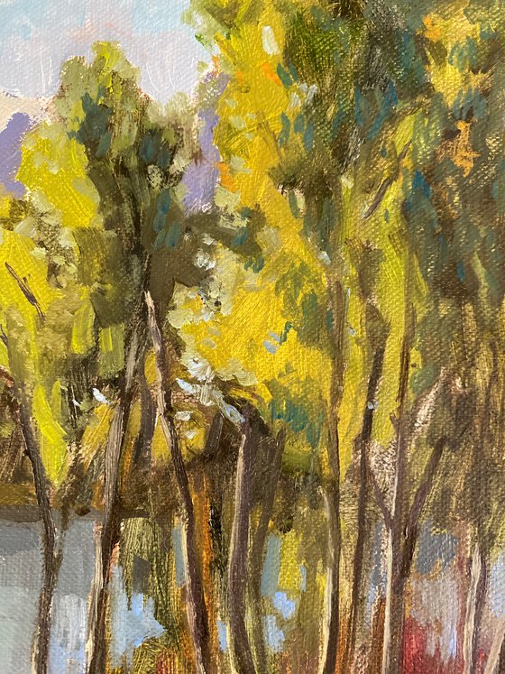 Wildsee Landscape