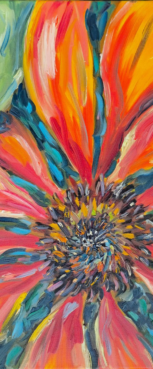 Coneflower by Alison Stevenson