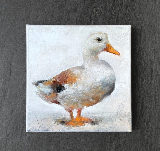 White Duck