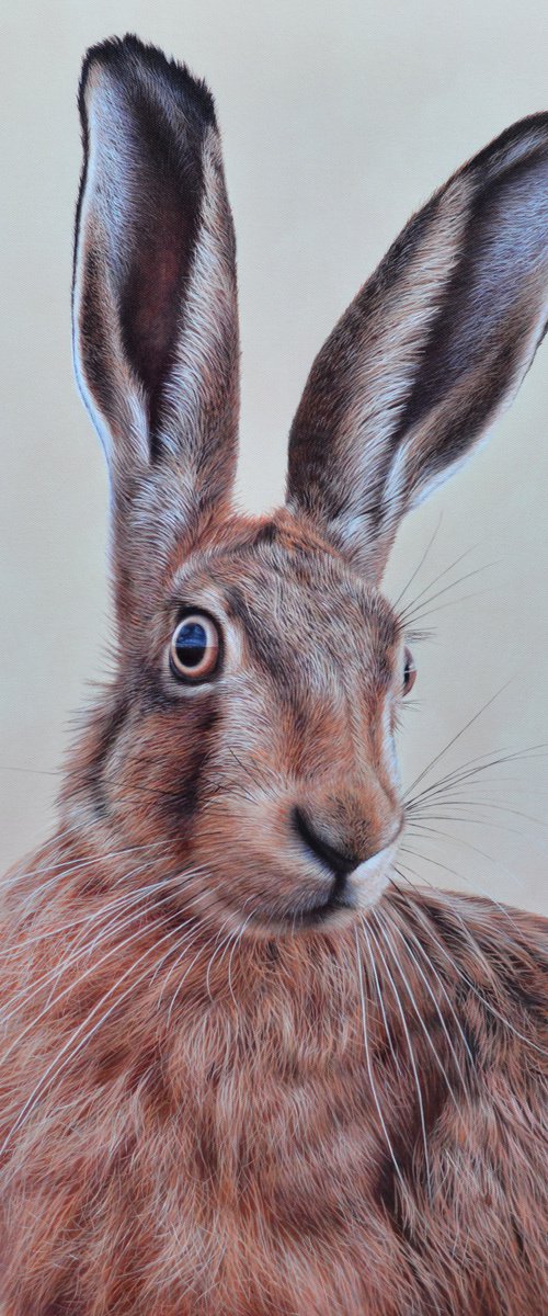 Max by Sam Dolman