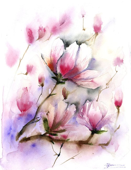 Magnolia by Olga Shefranov (Tchefranov)