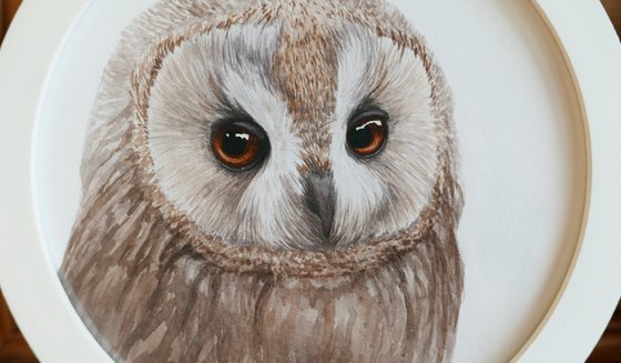 Framed owl. Part 1.