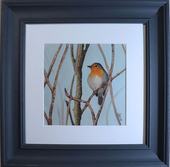 Robin Oil Painting, Bird Artwork, Animal Art Framed