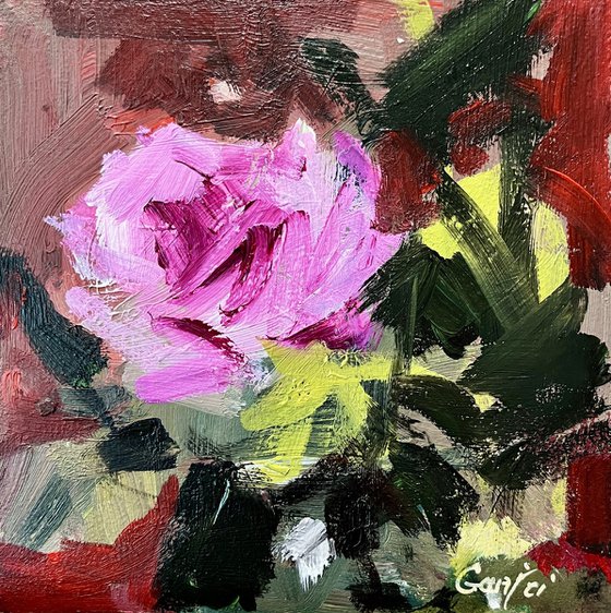 Purple Rose