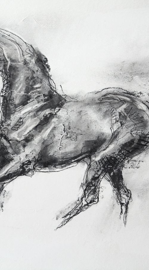 Equine Nude 4p by Benedicte Gele