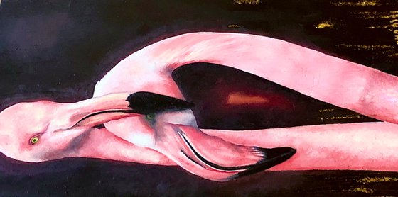 Comfortably Numb: Flamingly Flamingos