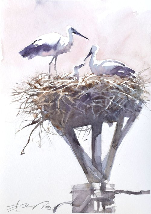 Storks in the nest 3 by Goran Žigolić Watercolors