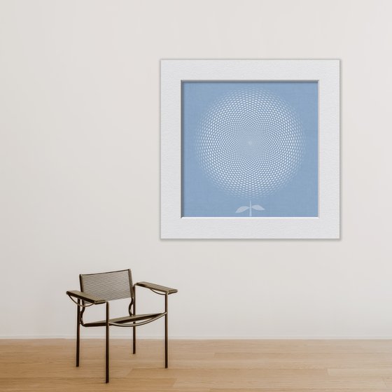 White flower on a blue background