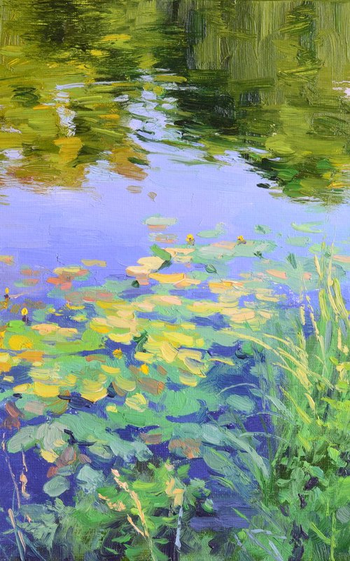 Water lilies on the water by Ruslan Kiprych