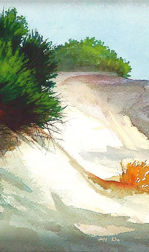Dune Rosemary - Dunes On St. Andrews - by Rick Paller