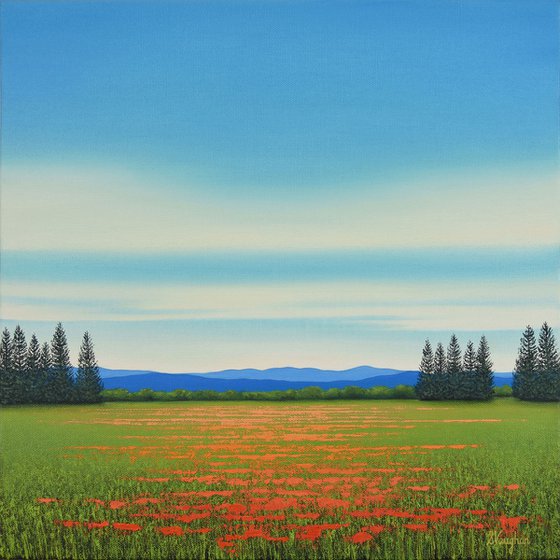 Poppy Field Meadow