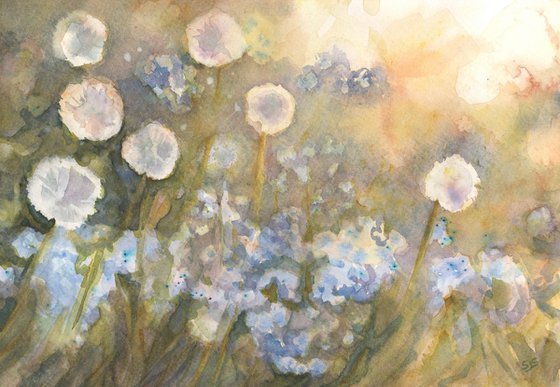 Dandelions and the Blues