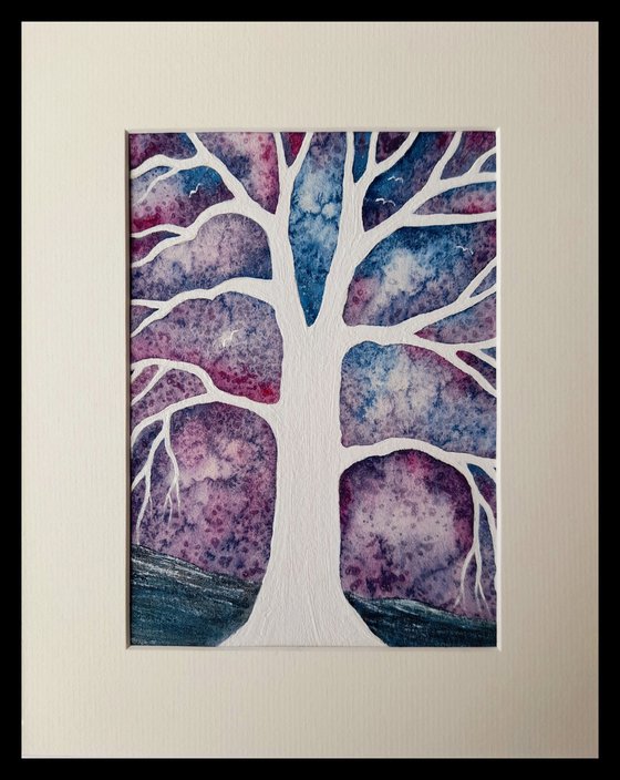 Quiet Calmness + Light in the Storminess