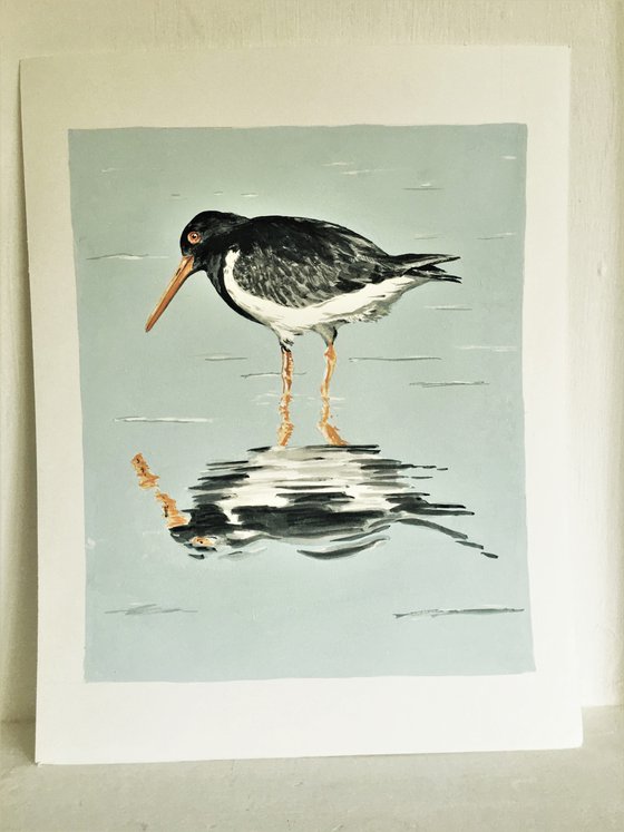 Oystercatcher # 2