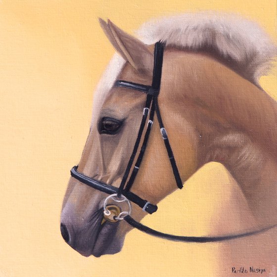 Horse Portrait 66