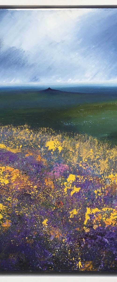 Dartmoor Hues by Laure Bury
