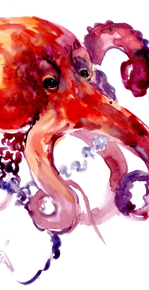 Octopus by Suren Nersisyan