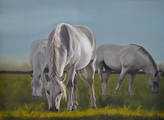 White Horses