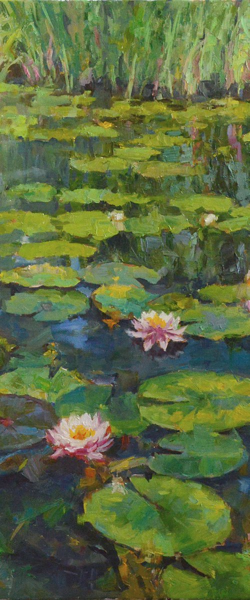 Water lilies #2 by Vachagan Manukyan