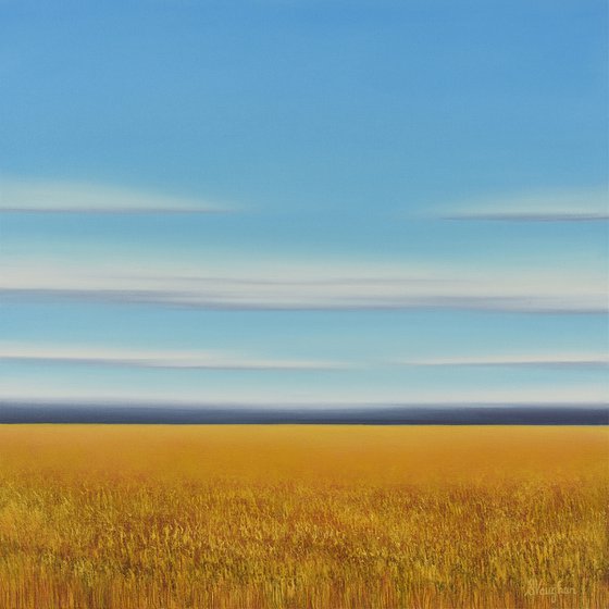 Golden Wheat - Blue Sky Landscape