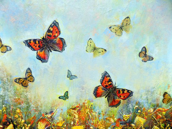 Fluttering of butterflies