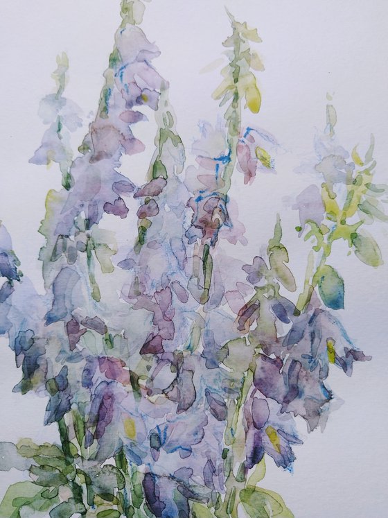 Bellflowers. Original watercolour painting.