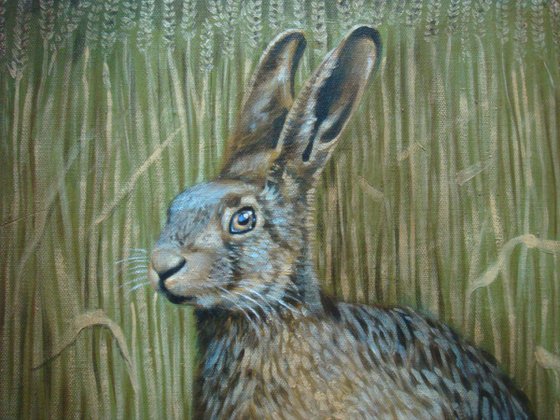'The Hare in the Corn'