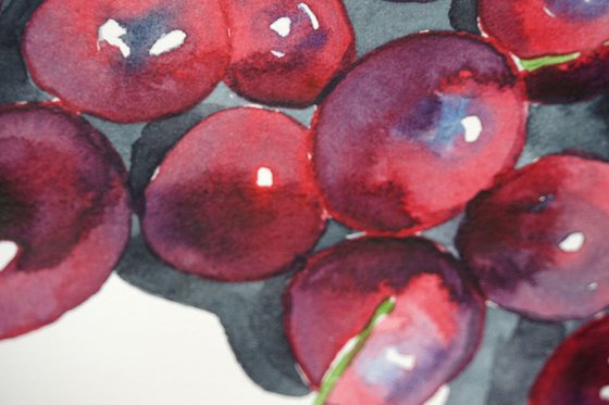 Cherries Watercolor Study