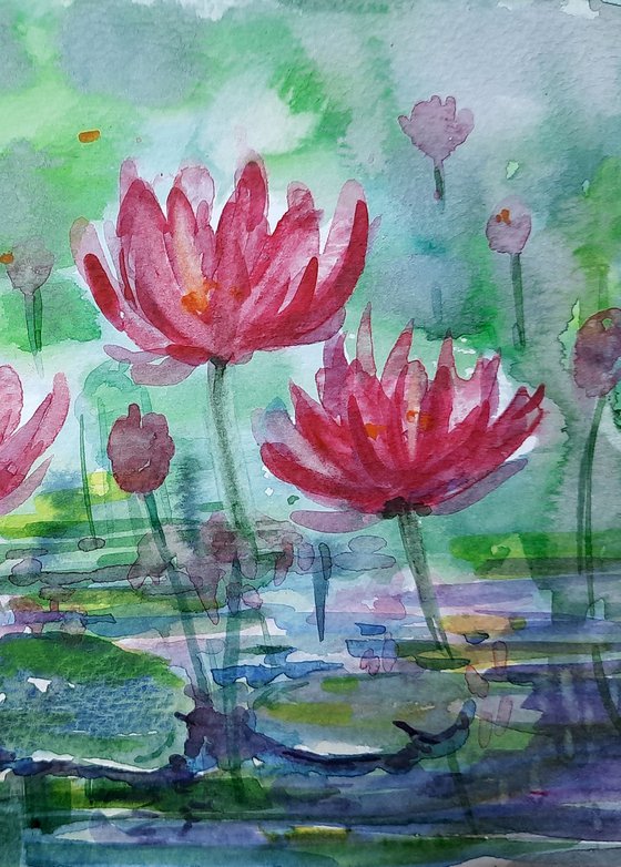 Lotus Pond 3 with Red lotus