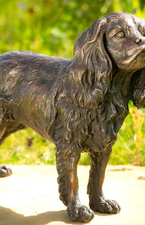 Standing Cavalier FB by Tanya Russell