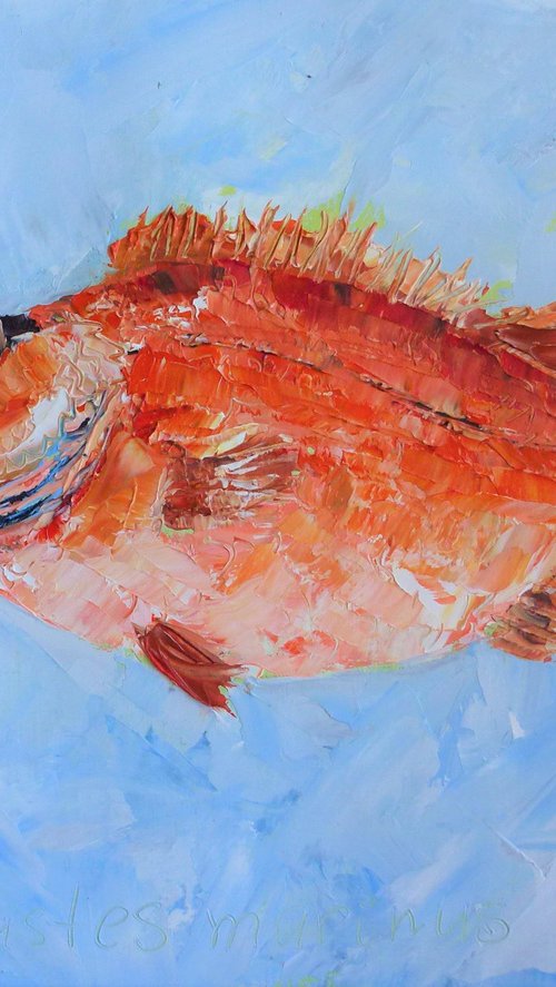 Redfish by Lena Smirnova