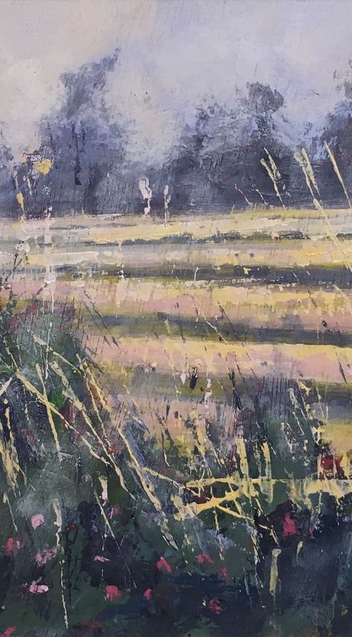 Autumn filed low sun No 2. by Tom Cringle