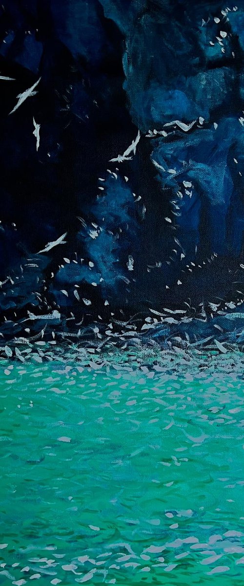 Cornish Cove And Gulls by Shabs  Beigh